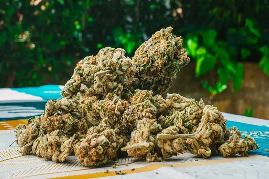 THCA Flower Cheap: How to Find Affordable, High-Quality THCA Buds THCA Flower Cheap